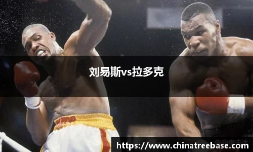 刘易斯vs拉多克