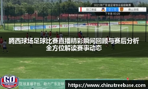 腾西球场足球比赛直播精彩瞬间回顾与赛后分析全方位解读赛事动态